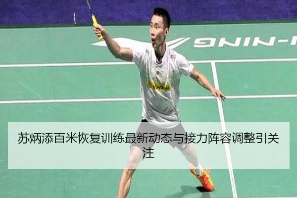 苏炳添百米恢复训练最新动态与接力阵容调整引关注